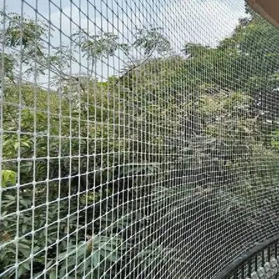 6x7 Feet Rebon Anti Bird Net