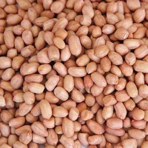 Natural Dried Groundnut Kernels, For Butter, Making Oil, Packaging Type : Bag