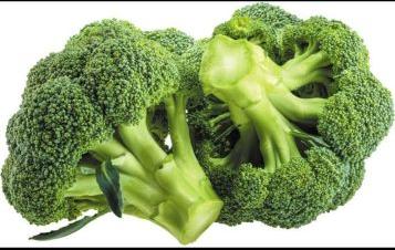 Fresh Broccoli for Cooking