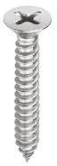 Stainless Steel Self Tapping Screw, Drive Type : Phil