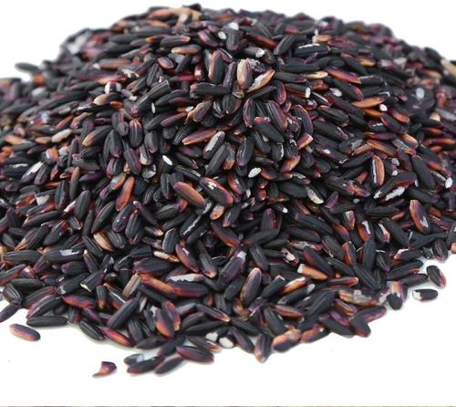 Hard Natural Black Rice, For Human Consumption, Cooking, Certification : FSSAI Certified