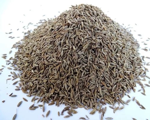 Natural Cumin Seeds, Packaging Size : 10Kg, 25Kg