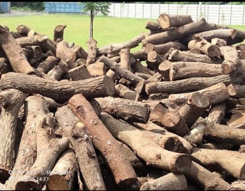 Industrial Firewood, For Burning Use, Fuel Purpose, Feature : Environment Friendly, Sturdiness, Superior Endurance