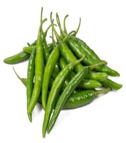 Green Chilli, For Food, Taste : Goods