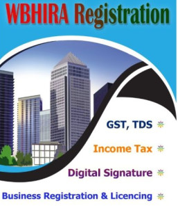 Gst Consultant