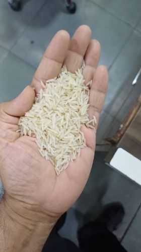 White Sella Rice, For Cooking, Human Consumption., Variety : Long Grain