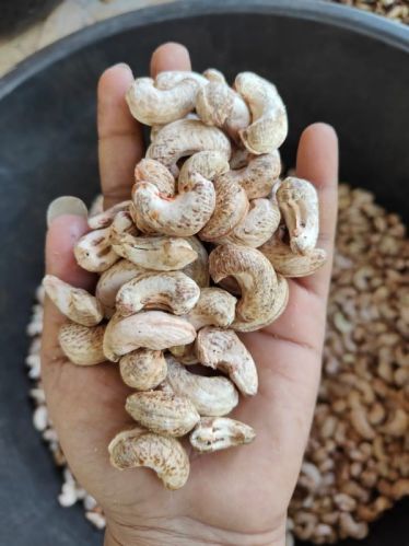 RV Kokan Machinery w240 Cashew Nut, Packaging Type : 5 To 10 Kg Bag, With Box