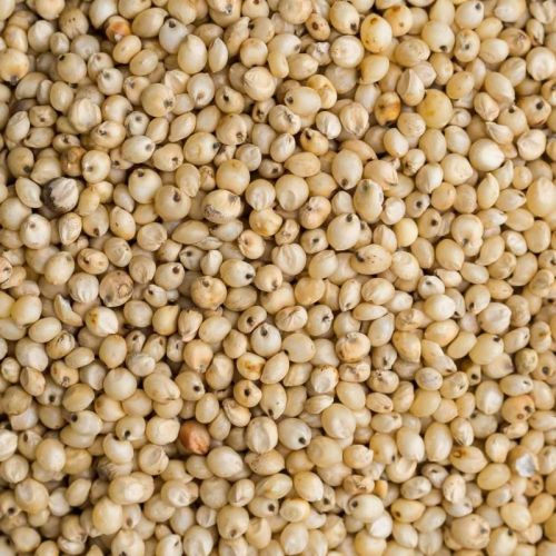 Natural Sorghum Millet, Style : Dried