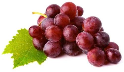 A Grade Fresh Red Grapes, For Human Consumption, Packaging Size : 20kg