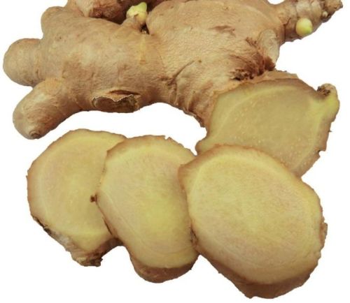 Fresh A Grade Ginger, Packaging Type : Bag