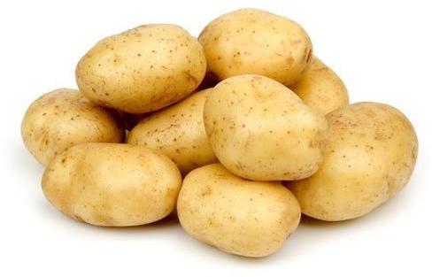 Fresh Organic Potato, Packaging Size : 20 Kg