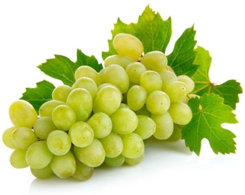 Organic Green Grapes, For Human Consumption, Packaging Type : Box