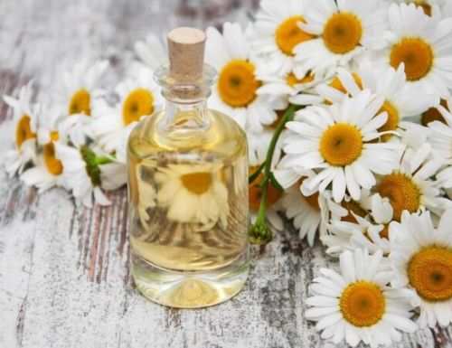 VDH Organic Chamomile Oil, Certification : CE Certified ISO 9001:2008