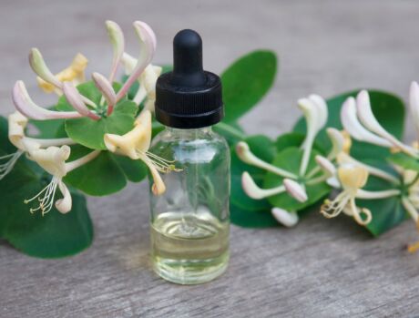 GMO Honeysuckle Oil, Certification : ISO 9001:2008