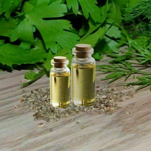 Parsley Seed Oil, For Pharma, Purity : 99%