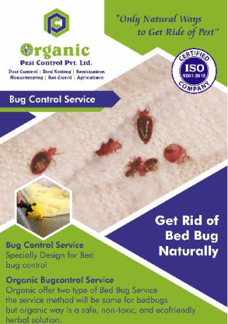 Bed Bug Control Services