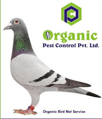 Bird Control Services