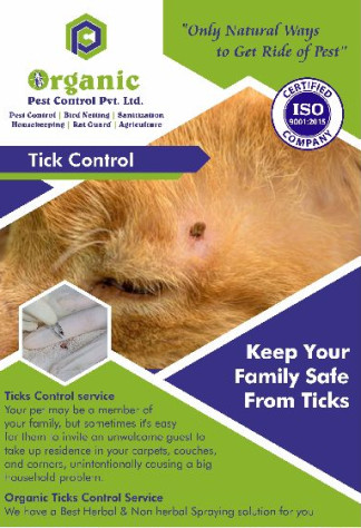 Ticks Pest Control Services