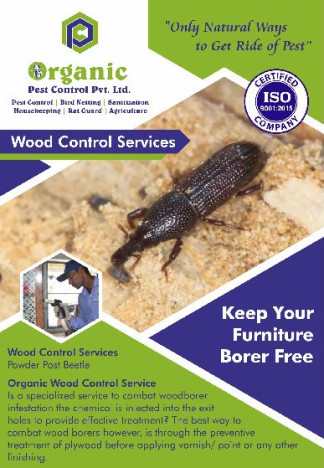 Wood Borer Control Services