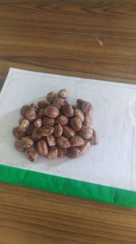 Garlic, Packaging Type : Plastic Packet