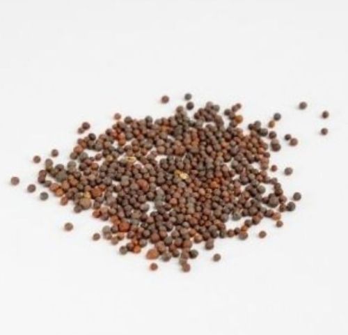 Brown Mustard Seeds, For Cooking, Packaging Size : 100gm