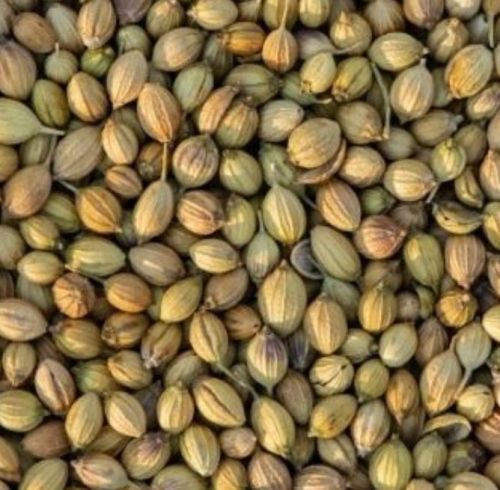 Brown Raw Coriander Seeds, For Cooking, Certification : FSSAI Certified