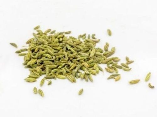 Green Raw Fennel Seeds, For Cooking, Certification : FSSAI Certified
