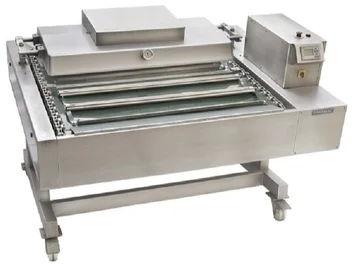 Powervac Electric Stainless Steel Automatic Vacuum Packaging Machine, Packaging Type : Pouch