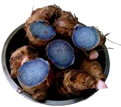 Common Black Turmeric, For Ayurvedic Products, Cosmetic Products, Medicine, Style : Fresh