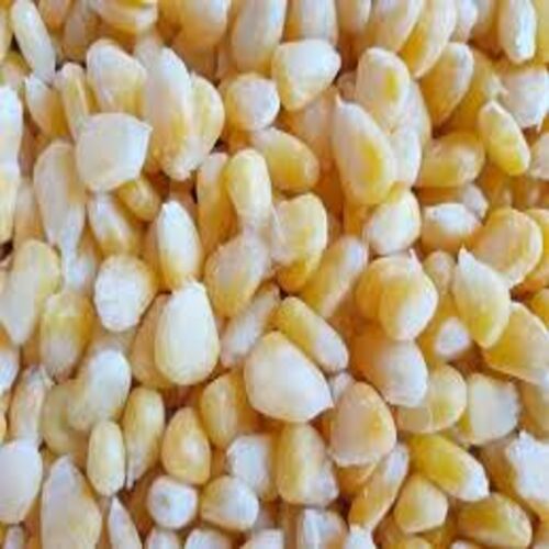 Frozen Sweet Corn, Freezing Process : Blast Freezing