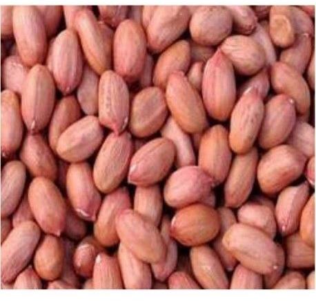 Light Red 38/42 Bold Ground Nut Kernels, For Cooking Use, Making Oil, Packaging Type : Jute Bag