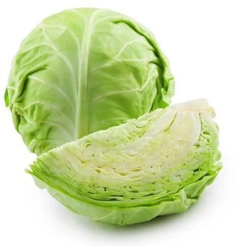 Green Fresh Cabbage, For Cooking, Shelf Life : 10 Days