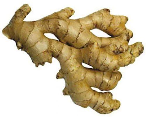 Organic Fresh Ginger, For Cooking, Packaging Size : 20kg