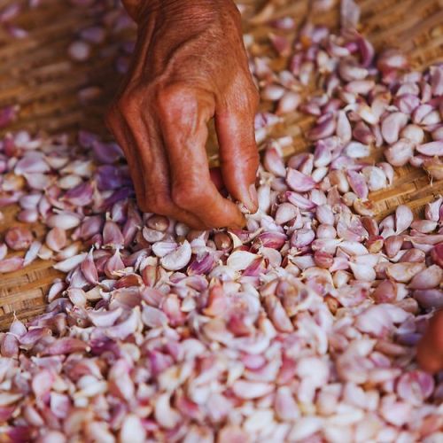 Natural Sorted Garlic Flakes, For Cooking, Packaging Type : Bag