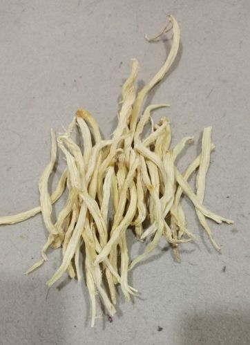 Dried Shatavari Roots, Color : White, Off White 98% 2 Years