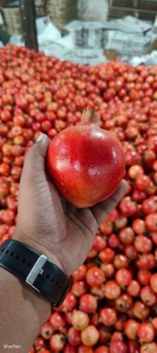 Pomegranate, Color : Bhagwa