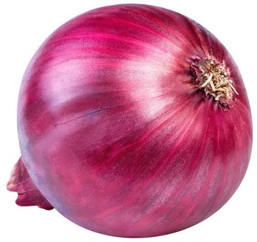 Red Onion for Food