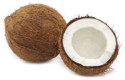 Natural 10 Gm Fresh Coconut, Packaging Type : Gunny Bags