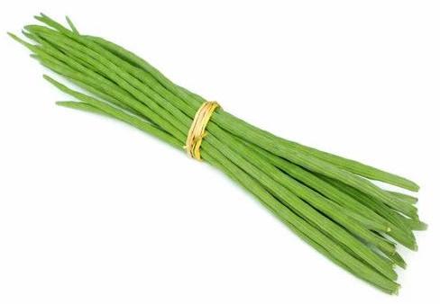 Green Natural Fresh Drumsticks, For Cooking, Packaging Type : Gunny Bag