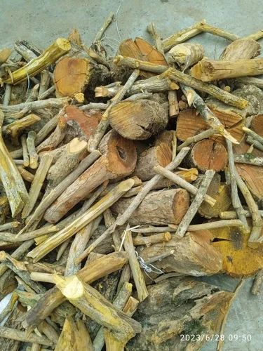 Daru Haldi Berberis Aristata, For Medicinal, Grade : Pharmaceutical Grade