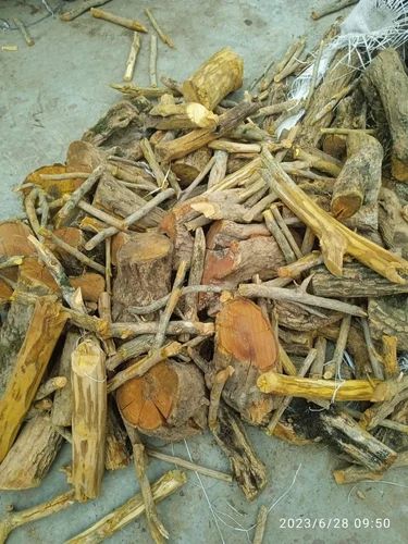 Daruharidra Berberis Aristata, Grade : Pharmaceutical Grade