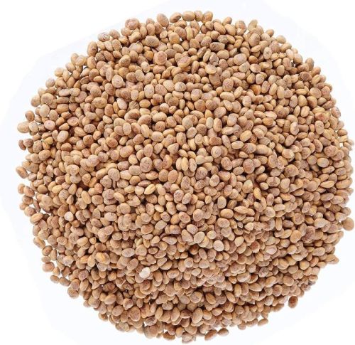 Brown Raw Organic Chironji Seeds, Certification : FSSAI Certified