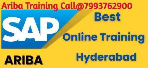 Sap Online Training Institute