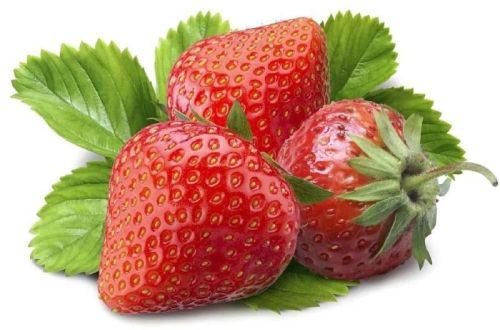 Red Organic Fresh Strawberry, For Human Consumption, Freezing Process : Cold Storage