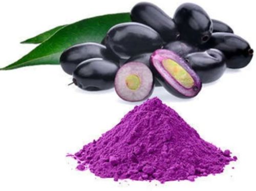 Black Jamun Powder at Best Price in Surat - ID: 7377856 | Exim Factory