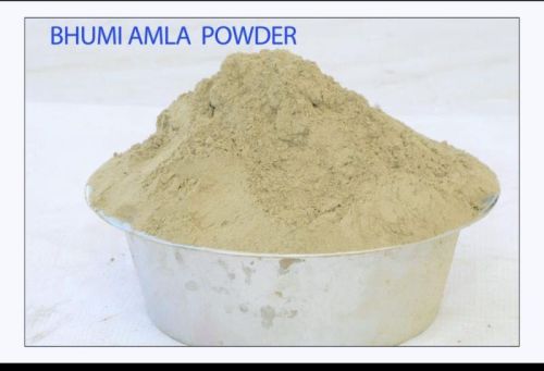 Common Bhoomi Amla Powder, For Skin Products, Medicine, Hair Oil, Color : Light Brown