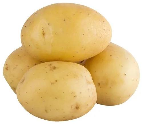 Natural A Grade Fresh Potato, Color : Brown, Packaging Type : Gunny Bags, PP Bag For Cooking, Cooking