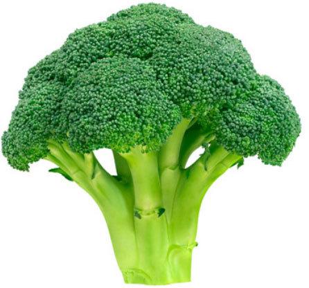 Green Fresh Broccoli, For Cooking, Grade : A Grade, Superior