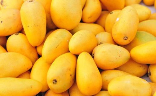 Yellow Natural Fresh Mango, For Human Consumption, Packaging Type : Crate