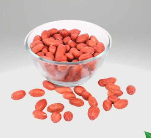 Freshia Peanut Seeds, Packaging Type : Sacks